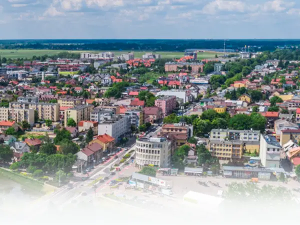 Obraz przedstawiający garwolin